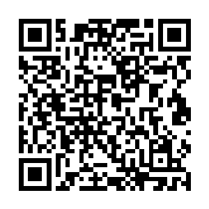 她清晰看到了雨果眼神里浅浅浮现出来的迟疑和发愣二维码生成