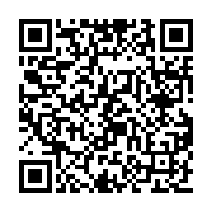 她爷爷的员工肯定是不会向你们收取任何费用的二维码生成