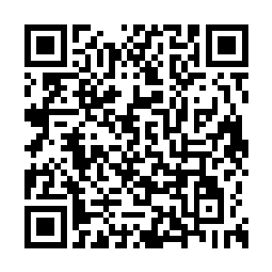 她特别用一个干净的不锈钢饭盒拨出一些菜和肉二维码生成