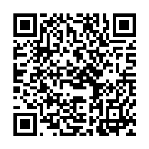 她特意带上了司空月冥送给她的信与那个旋转木马的八音盒二维码生成