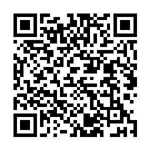 她猛然间想起自己曾经在海底世界还修炼出来一种飞行法术二维码生成