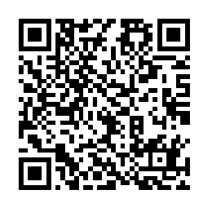 她现在一直在想着弄明白那个大门为什么自动就打开了二维码生成