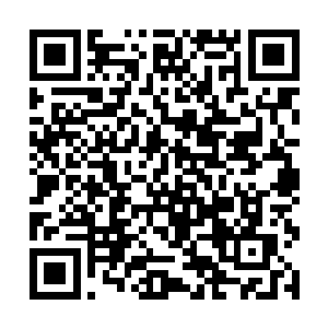 她现在做的这些努力都是为了后面的计划更好的实施二维码生成