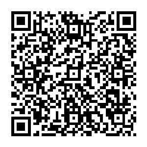 她现在又一心扑在那个完全不把她当回事的男人身上…梓箐倒是很想让她清醒清醒二维码生成