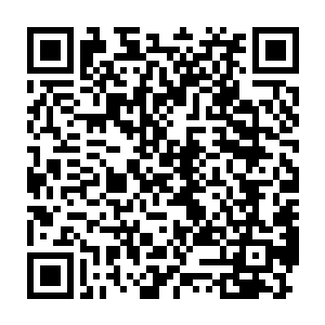 她现在只盼萧易还没有把刚才那个医生的诊断给眼前的这些专家们看二维码生成