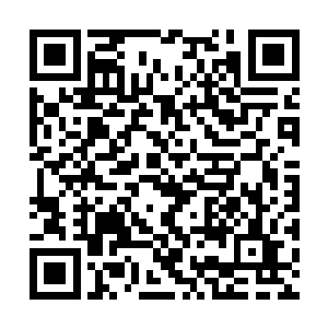 她现在必须想办法怎样在这样疯狂的劫雷中活下去二维码生成