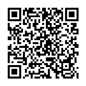 她现在才发现原来她一直都在沈寒星的掌握之中二维码生成