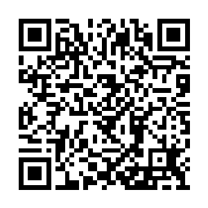 她现在正式对恋爱和世界抱有最美好幻想的时候二维码生成