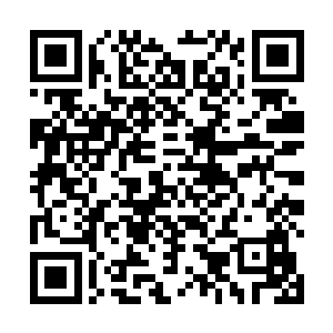 她现在突然想到那五个万剑门弟子在见到自己时的反应二维码生成