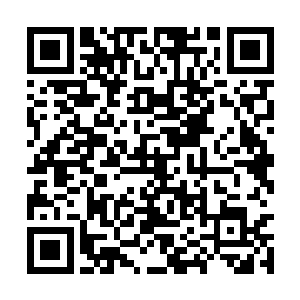 她琢磨着这个时候湛天丞应该不会提很过分的要求二维码生成