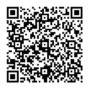 她甚至在逃离会所之前都从来没有把那些名贵璀璨的奢侈品收进过那个紧急逃难箱里二维码生成