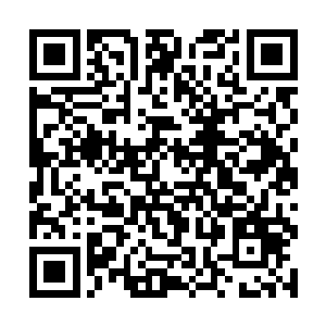 她甚至已经忘记了自己刚才的火焰是怎么被破掉的了二维码生成