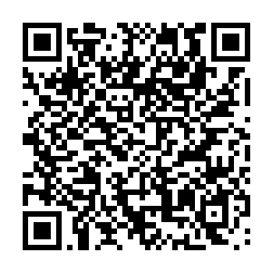 她甚至无法分辨现有的发现和旧有的记忆――也许这就是认识太久的弊端之一二维码生成