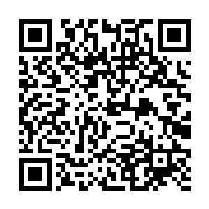 她甚至还没有来得及在张潇晗的神念上刻上她的印记二维码生成