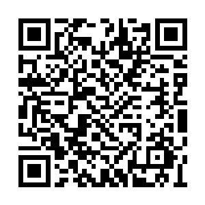 她甚至都怀疑他们两个人之间也有那种感情问题二维码生成