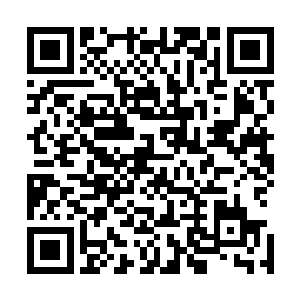 她生下来的孩子无论再怎么优秀都绝不可能登上北戎王之位二维码生成