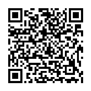 她生怕谢元茂已在外头将事情悄悄给答应了下去二维码生成