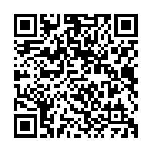 她的一切都是那么美好……可是为什么……到后来这一切都变了二维码生成