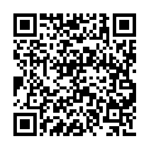 她的一条转发与评论却已经引起无数网友的疯狂二维码生成