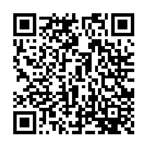 她的一柄染血的剑在玄骨族领队的身上点来点去二维码生成