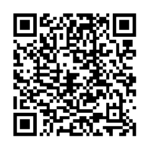 她的事业完全适合了岭西传统美德――举贤不避亲二维码生成