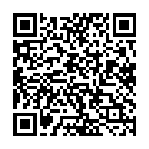 她的余生不会再充斥着对陆江的恨意和对儿子的愧疚二维码生成