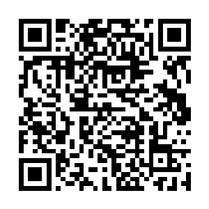 她的儿子远比如今大楚那个没用的墨夙云聪明的多二维码生成