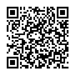 她的公关和经纪人这段时间没少借用杜克的名气和地位造势二维码生成