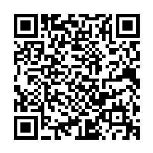 她的团子果然在不知不觉之间变成了一个厉害到令人心悸的人二维码生成