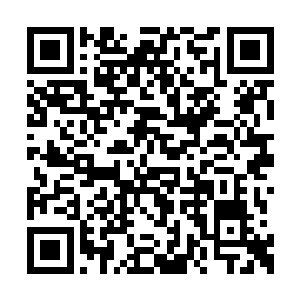 她的域界本身就是由宇宙之心的碎片拼接起来的二维码生成