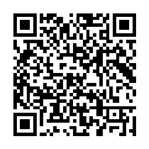 她的处境怎么也得比珊瑚和琥珀她们这些丫头也好二维码生成