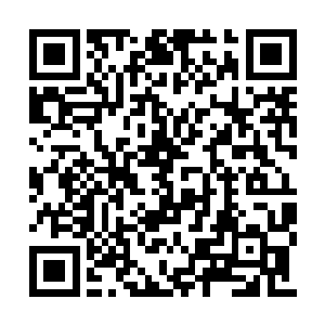 她的大而灰暗的眼睛同高鼻粱令人觉得有些可怕二维码生成