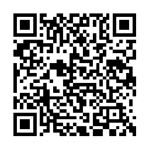 她的妹妹借助着这栋屋子的神秘力量回到了大屋二维码生成