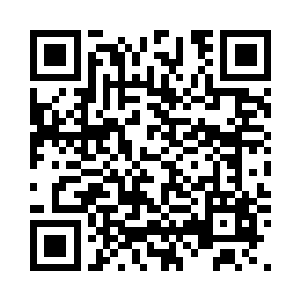 她的实力就从气宗初期达到气宗巅峰二维码生成