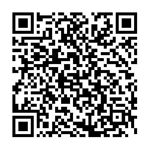 她的师父大人是未雨绸缪地想在修真界变天之前将她培养成继承人二维码生成