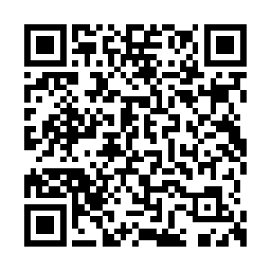 她的师父大长老才破格送给她一只寻宝鼠带下山二维码生成