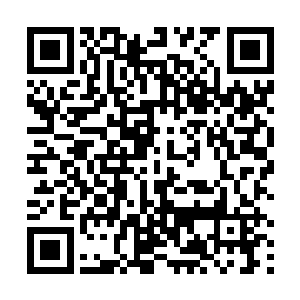 她的心智和行动力都已经远远超越了她尚未成熟的外表二维码生成
