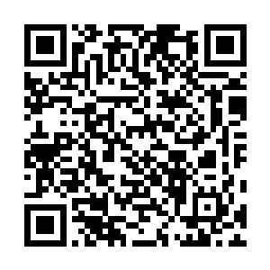 她的心脏在看到雨果那张脸庞时还是不争气地悸动了一下二维码生成