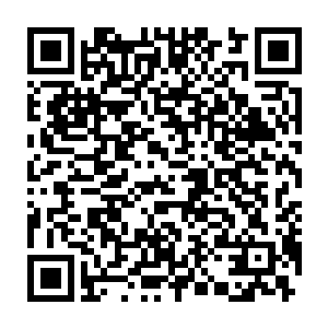 她的心里真的不相信火焰流寇能够在急切之间集结五百元婴期修士二维码生成