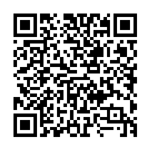 她的思绪又回到了以前……这里永远都是她跟儿子的快乐时光二维码生成