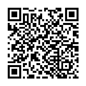 她的性情……她根本不信暗星帝国还会有人比她强二维码生成