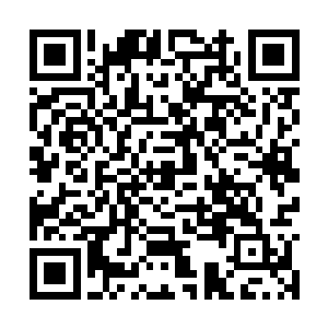 她的战斗经验以及对人xing的把握远远不是叶秋的对手二维码生成