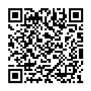 她的房租和生活费不知道要什么时候才还得上了二维码生成