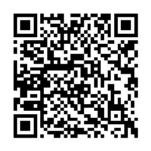 她的本体在许紫烟用混沌之气炼制的仙丹辅助下二维码生成