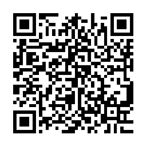 她的沉寂的个人通讯器突然想要爆炸一样开始叮叮叮地响起来二维码生成
