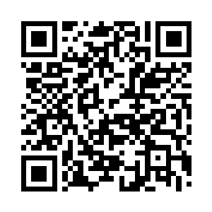 她的注意力已经不是苍羽玄觞万古灵树二维码生成