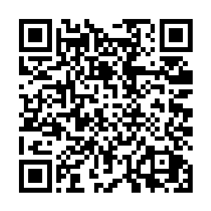 她的爱人陈观是把这个商务套间当成了他们的新婚洞房二维码生成