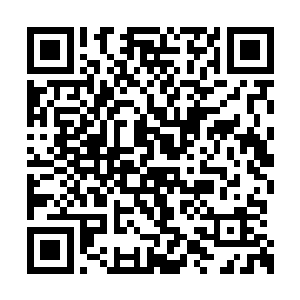 她的父亲沈七爷和她的母亲沈七太太当年的威名二维码生成