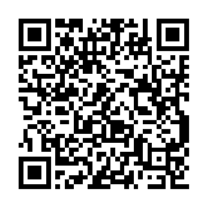 她的特点大概就是……没有强烈的想赢钱的意愿二维码生成