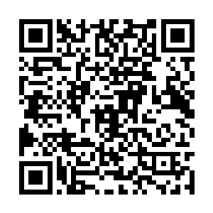 她的疏离与避让都让他清楚知道她不需要他的帮助二维码生成